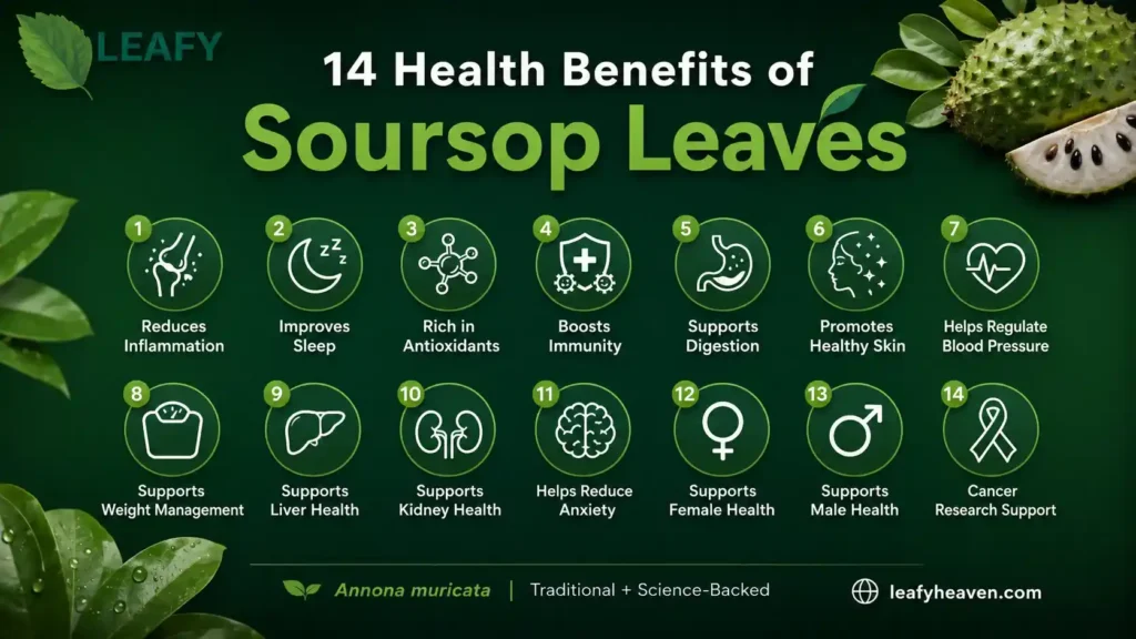 soursop-leaves-benefits