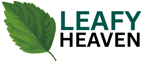 Leafy Heaven