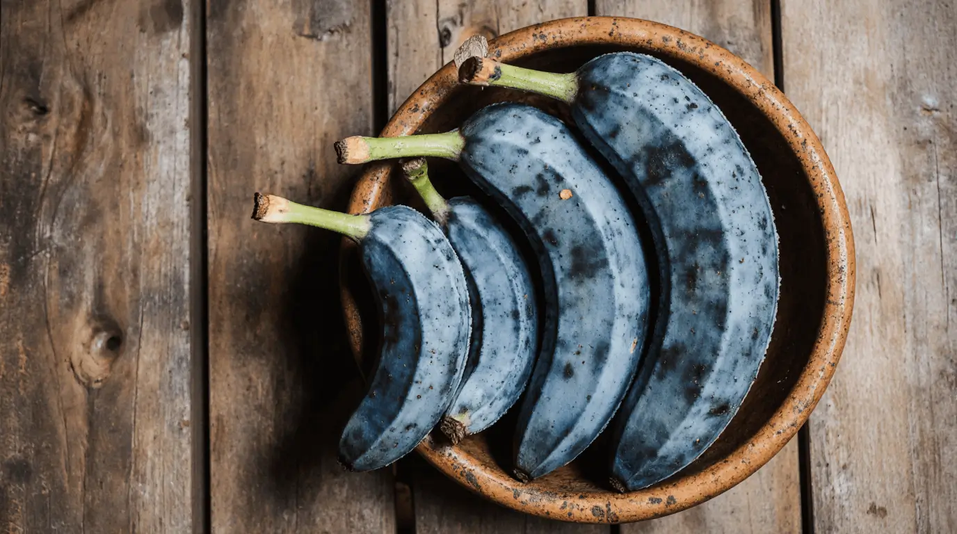 blue java banana benefits