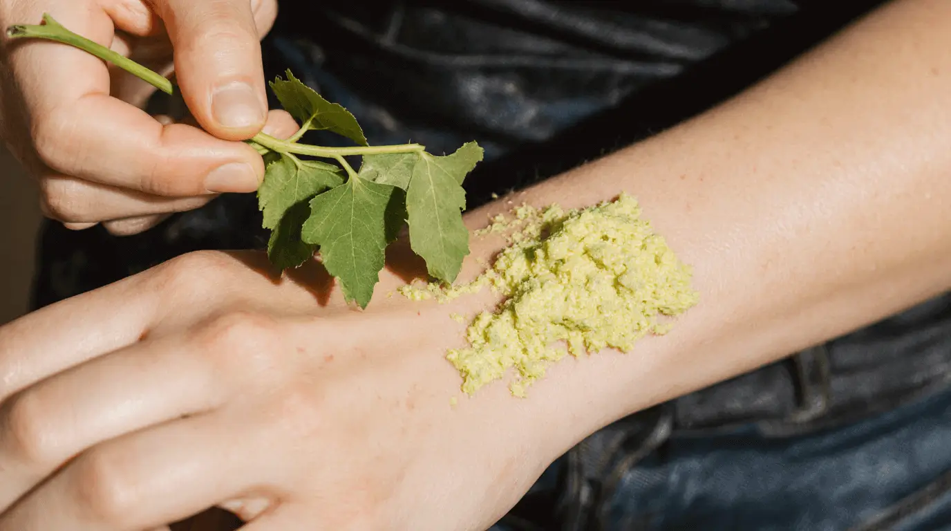 dried soursop leaves benefits