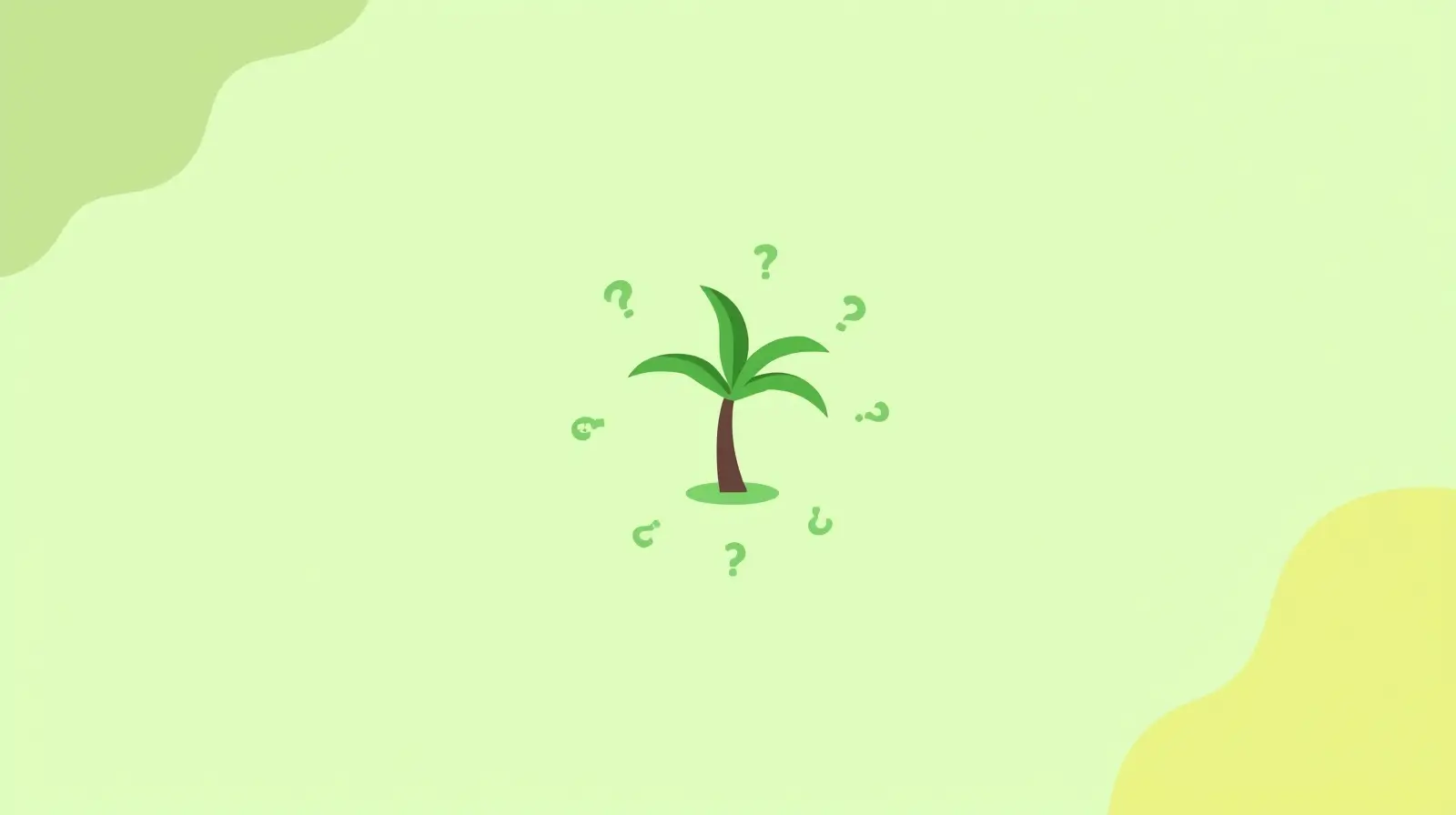 truly tiny banana tree