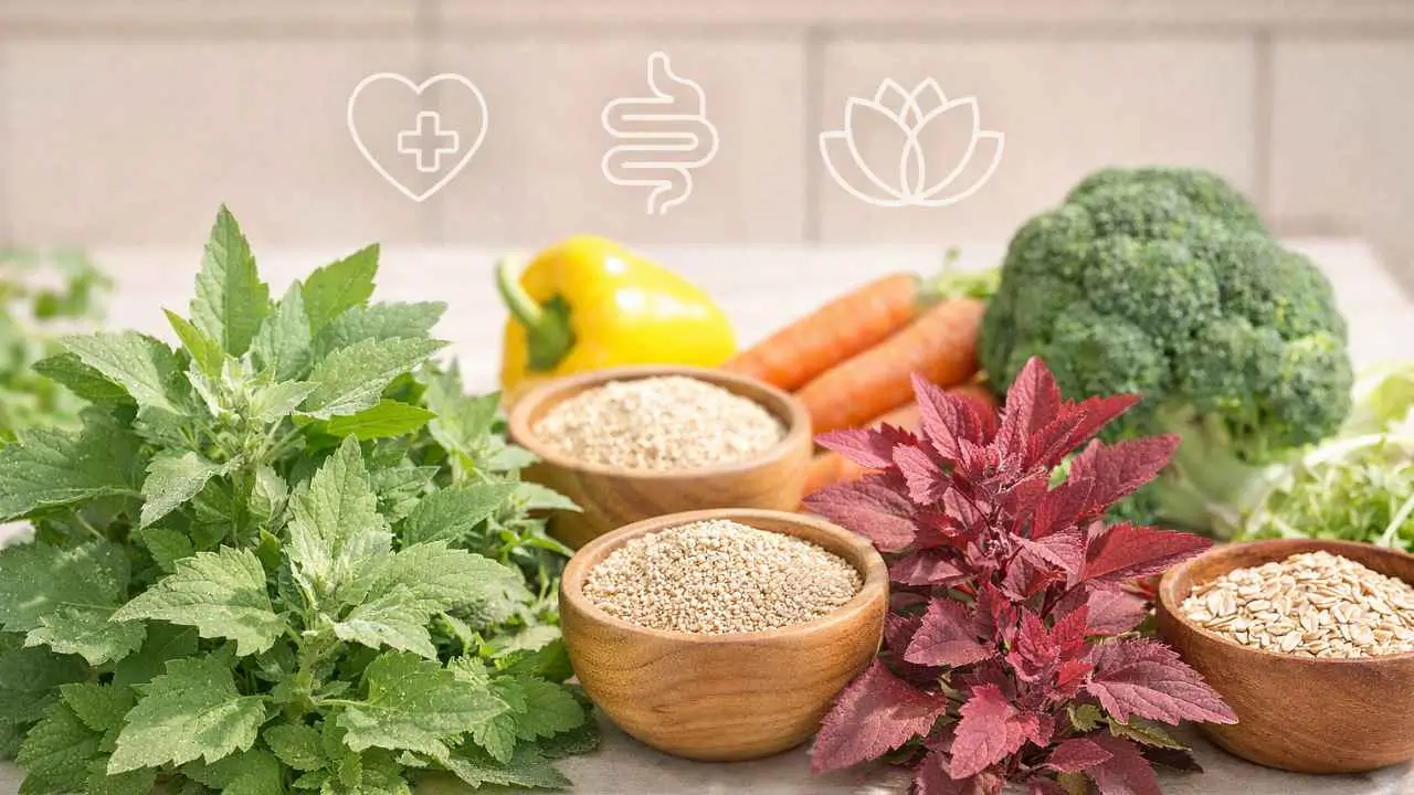 goosefoot plant benefits