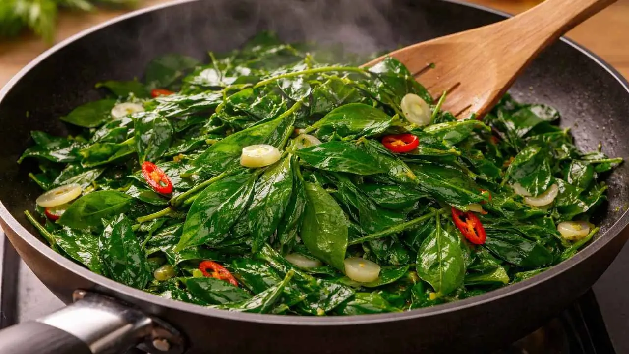 katuk plant benefits