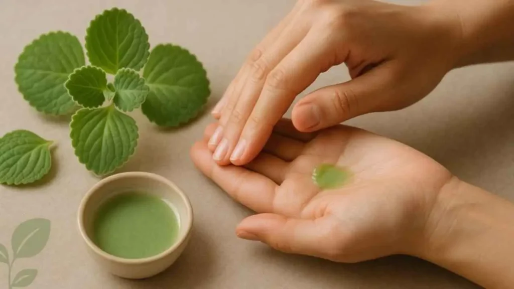 vicks plant benefits