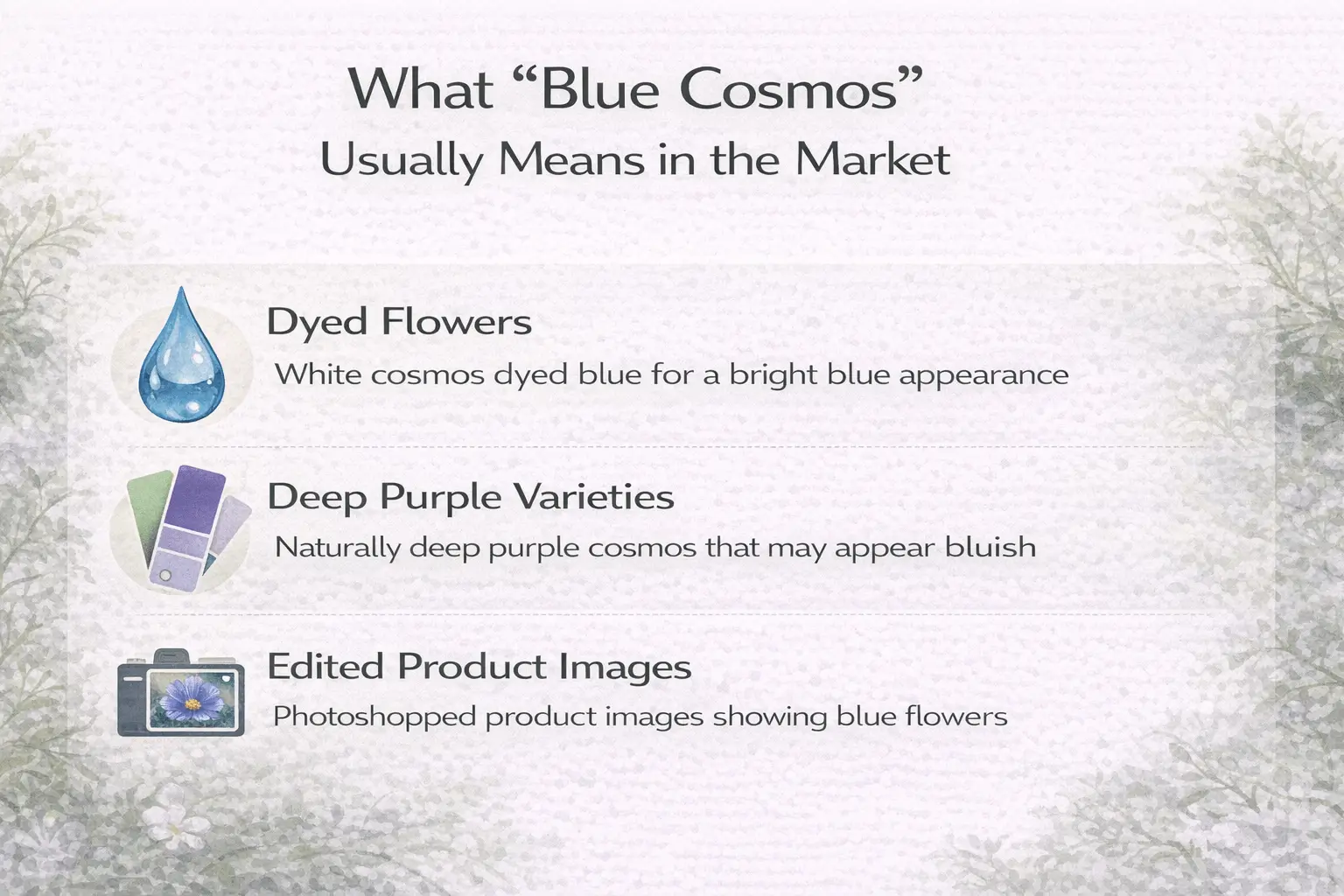 cosmos flower blue