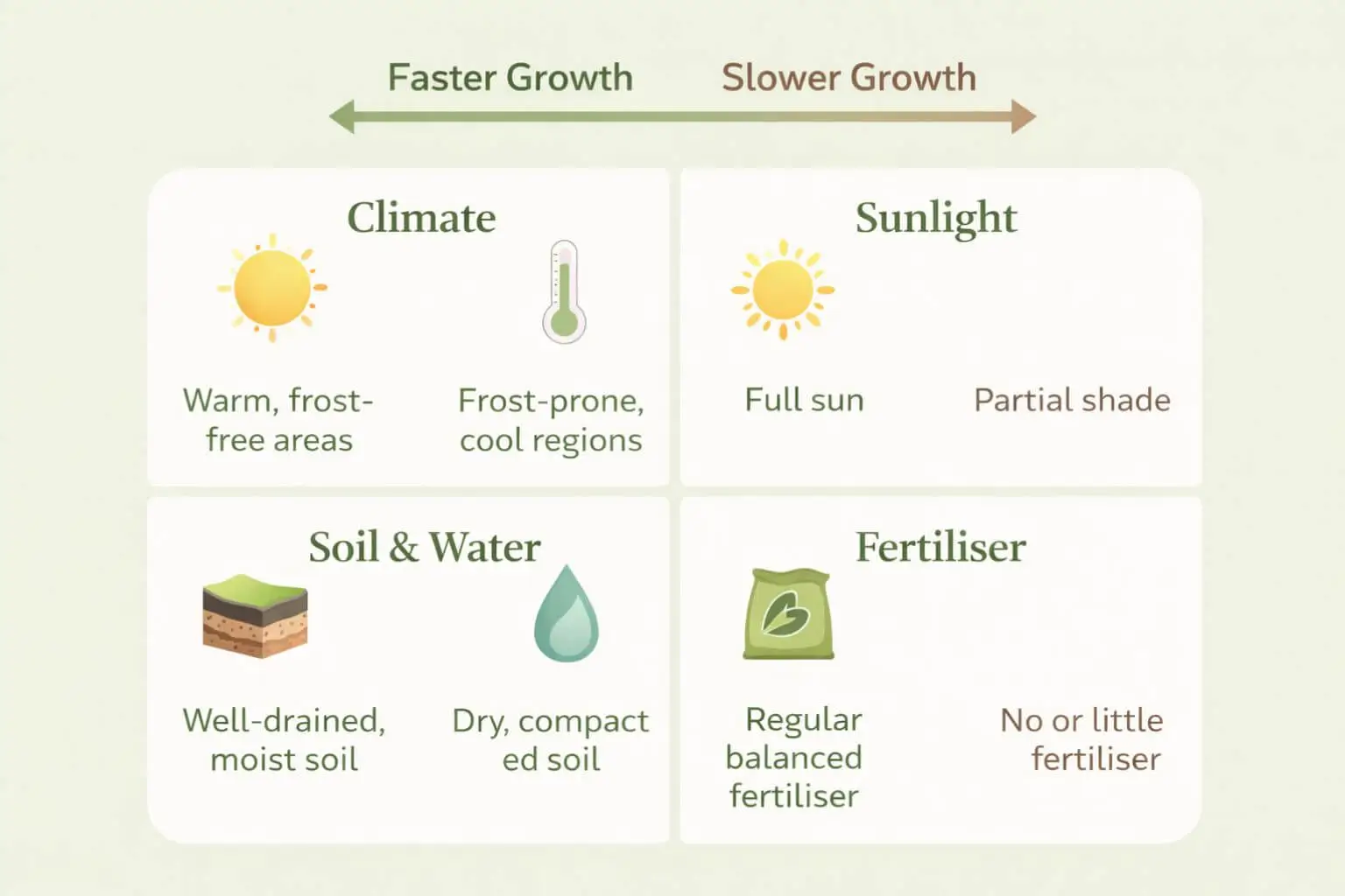 Infographic divided into four sections—Climate, Sunlight, Soil & Water, and Fertiliser—showing gardening factors that influence plant growth speed, with icons and arrows comparing faster growth vs slower growth conditions in a green botanical design.