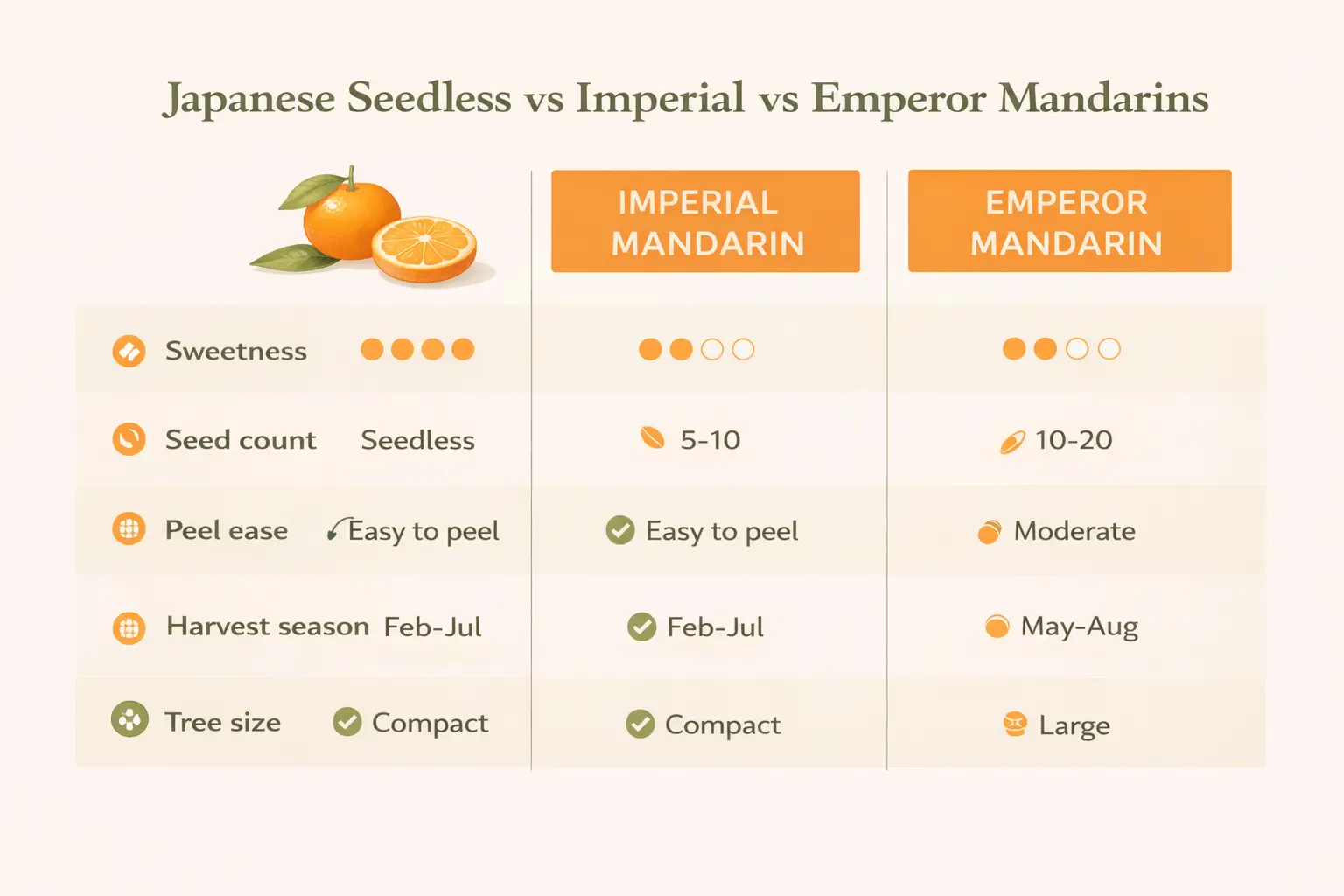 japanese seedless mandarin