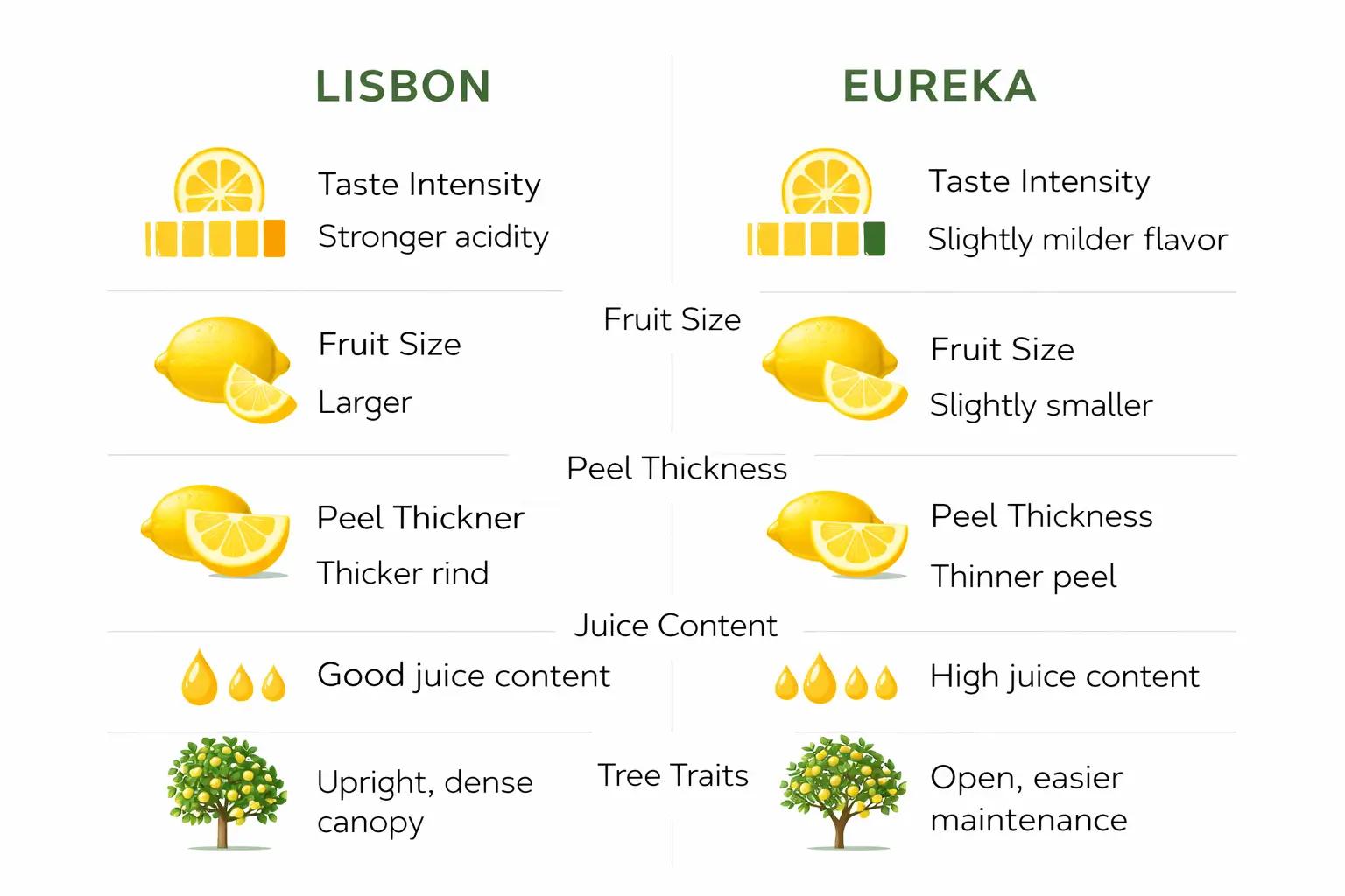 lisbon vs eureka lemon