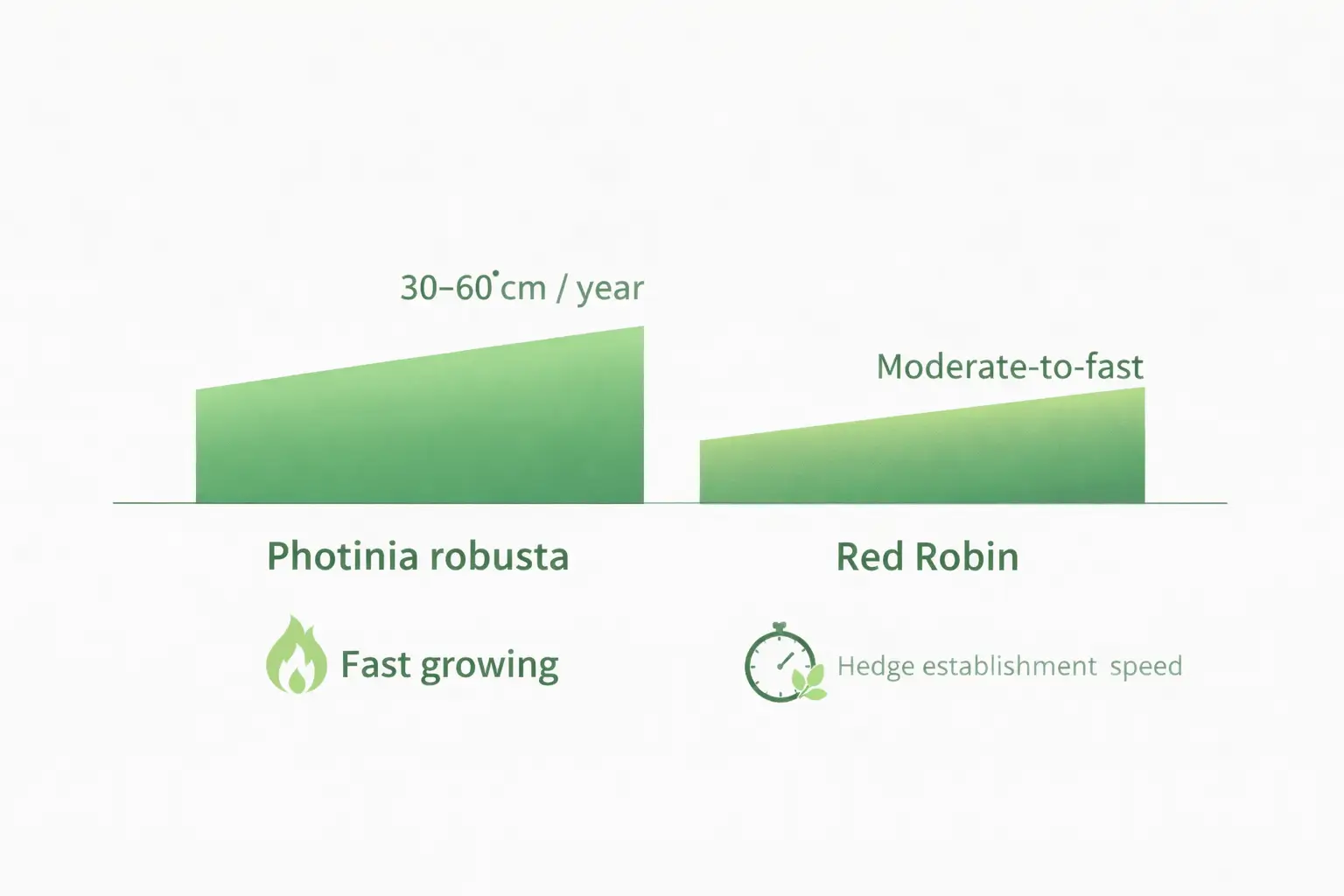 Annual growth rate comparison infographic for photinia robusta vs red robin hedge establishment