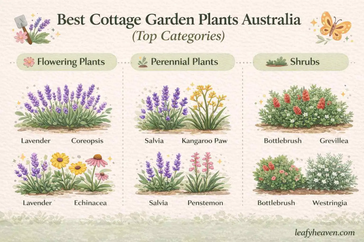 cottage garden plants australia