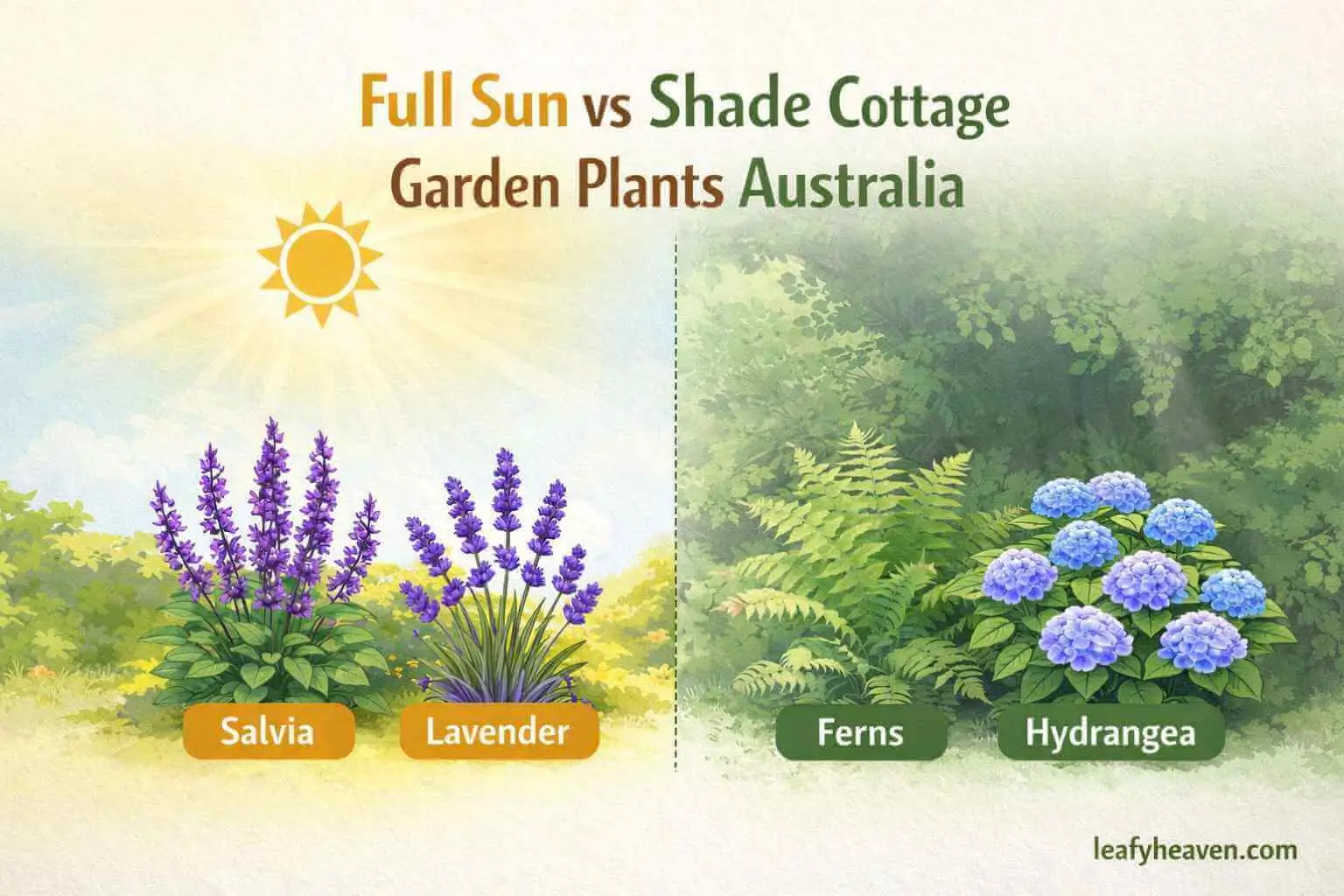 cottage garden plants australia