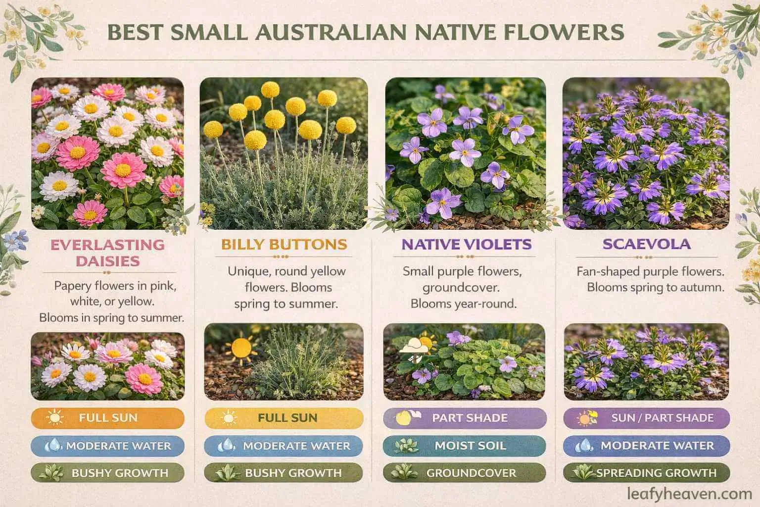 small australian native flowers