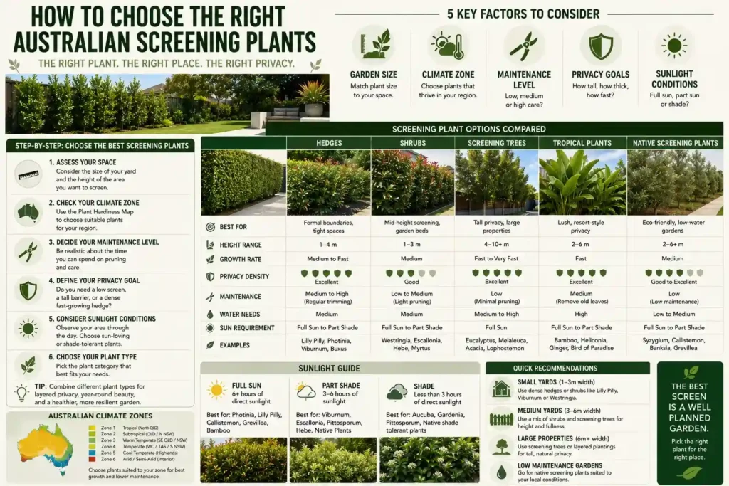 best-screening-plants-australia