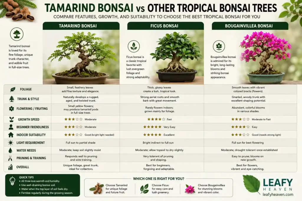 bonsai-species