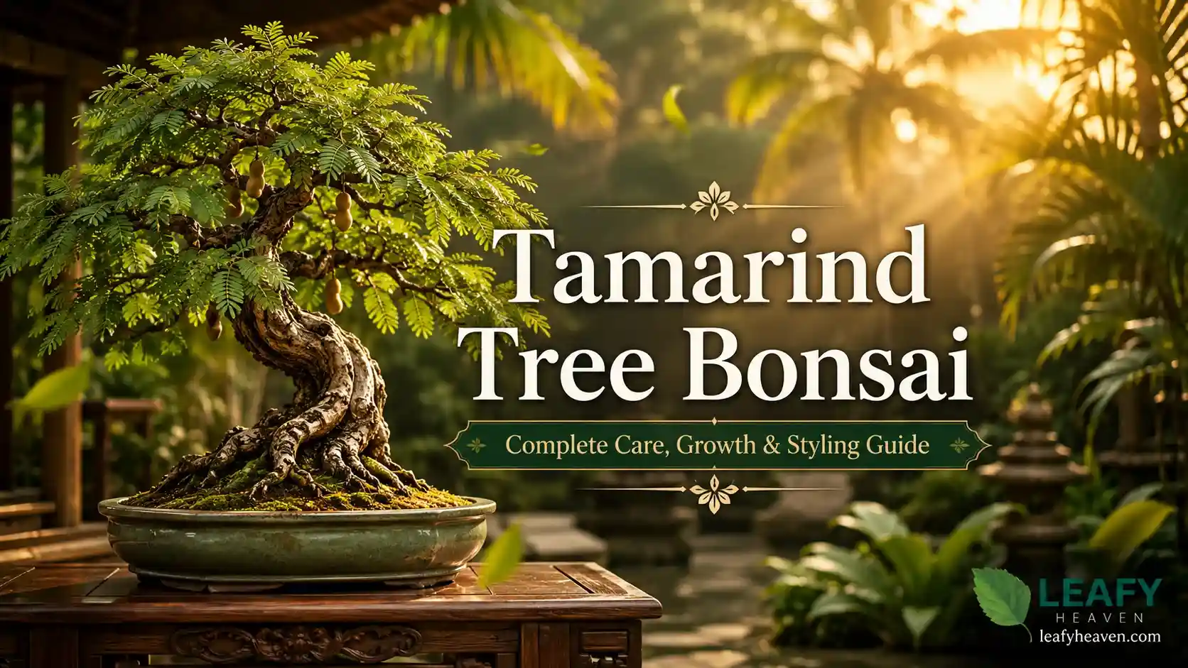 tamarind-tree-bonsai