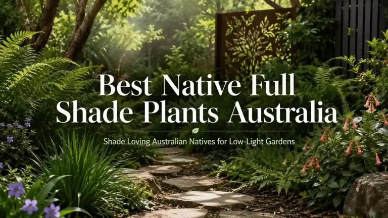 native full shade plants australia