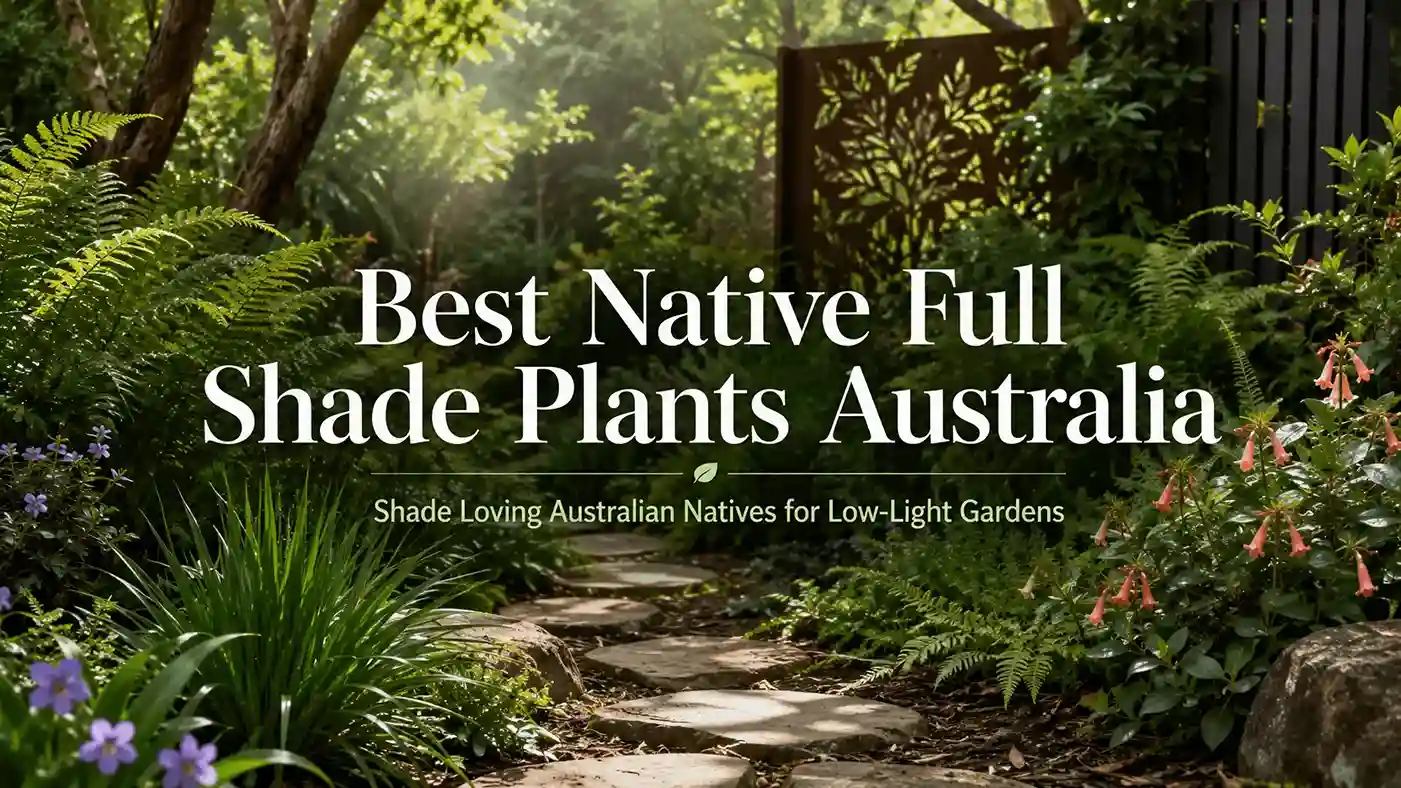 native full shade plants australia