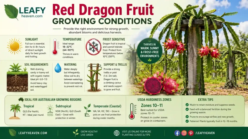 dragon-fruit-growing-zone