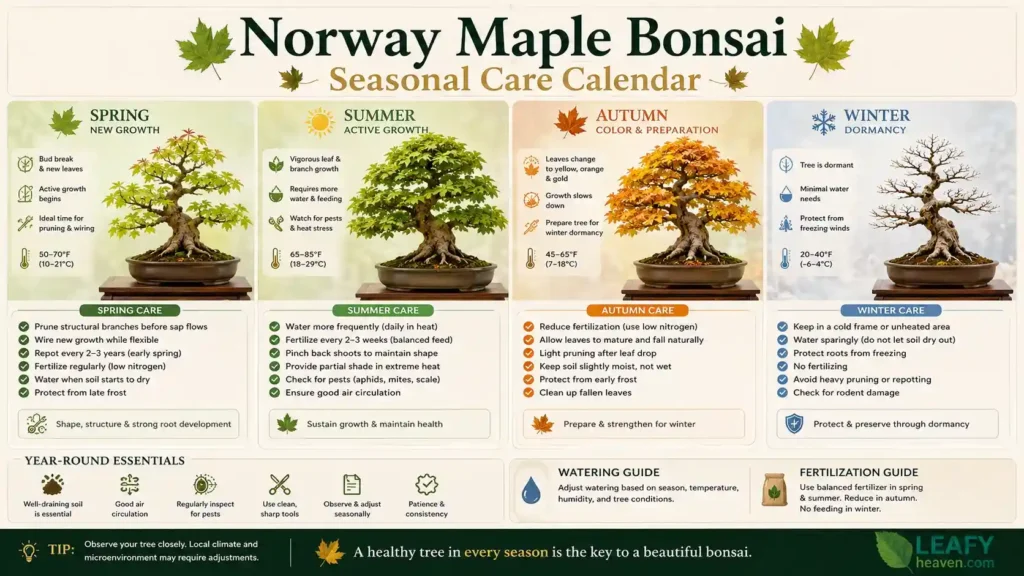 norway-maple-fall-color
