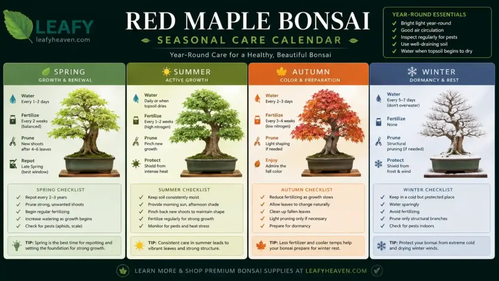 red-maple-bonsai-care
